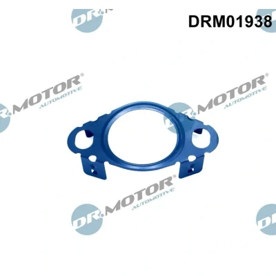 Kuva DR.MOTOR AUTOMOTIVE DRM01938 Tiiviste, EGR Venttiilin Johdin