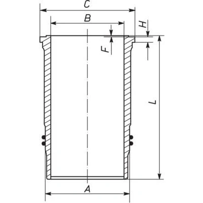 Kuva Sylinteriputki MAHLE 592 WN 11