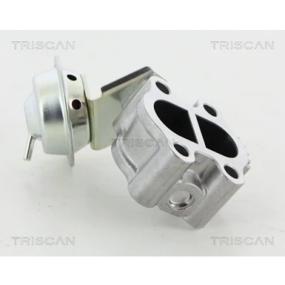 Kuva TRISCAN 8813 13060 EGR Venttiili TOYOTA: Avensis III Farmari, II Station Wagon, Verso