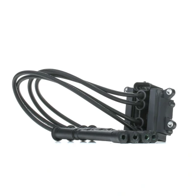 Kuva Sytytyspuola DACIA, RENAULT OE 8200 360 911, 702 693, 713 680