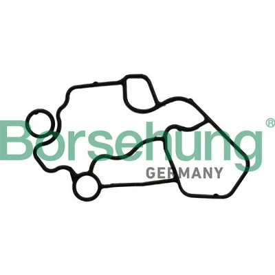 Kuva Borsehung B10622 Tiiviste, Öljynsuodatimen Kotelo AUDI: A4 B7 Sedan, A3 Sportback, A6 C6 VOLKSWAGEN: Passat B6 Variant, Golf 5