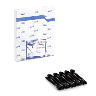 Kuva Sylinterikannen pulttisarja AUDI, SEAT, SKODA, VW OE 06A103384C (x10)