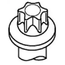 Kuva REINZ 14 32334 01 Kannen Pultit Torx, ulko NISSAN: Qashqai / Qashqai+2 I, Tiida Sedan, RENAULT: CLIO 3, MEGANE 3 Grandtour,