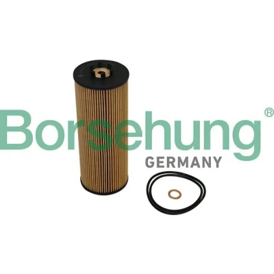 Kuva Borsehung B10544 Öljynsuodatin Suodatinpanos AUDI: A4 B7 Avant, B6 Sedan, VOLKSWAGEN: Passat B5 GP Variant, Sedan