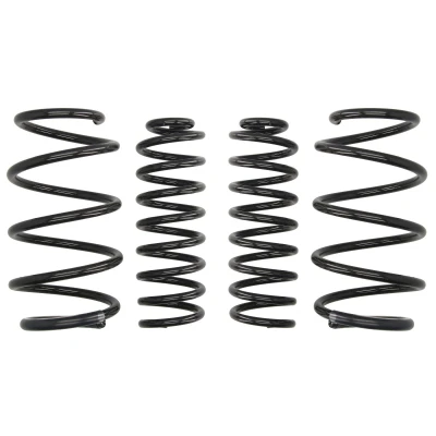 Kuva EIBACH Pro Kit E10 75 003 02 22 Madallusjouset