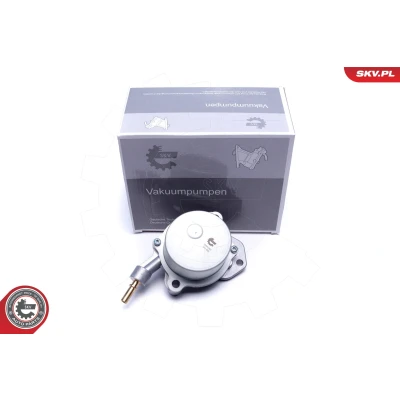 Kuva ESEN SKV 18SKV061 Alipainepumppu CITROËN: C5 III Farmari, 3, Jumpy I MPV, PEUGEOT: Expert Van