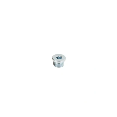 Kuva DT Spare Parts 9.29010 Kierretulppa, kampikammio