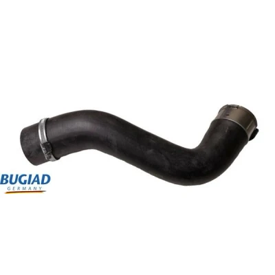 Kuva BUGIAD 82458 Ahdinletku Kuorella