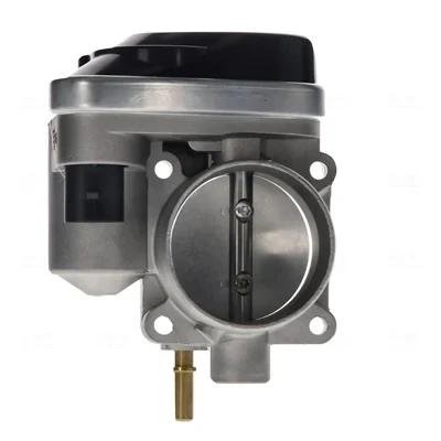 Kuva Kaasuläpän kotelo RENAULT OE 8200171134, 8200190230