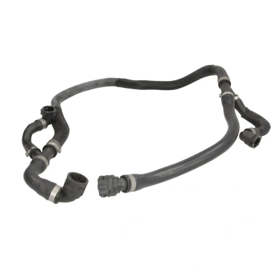 Kuva THERMOTEC DWB296TT Jäähdyttimen Letku BMW: X5