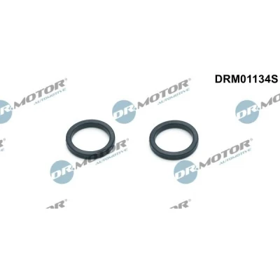 Kuva DR.MOTOR AUTOMOTIVE DRM01134S Tiivistesarja, Öljynjäähdytin