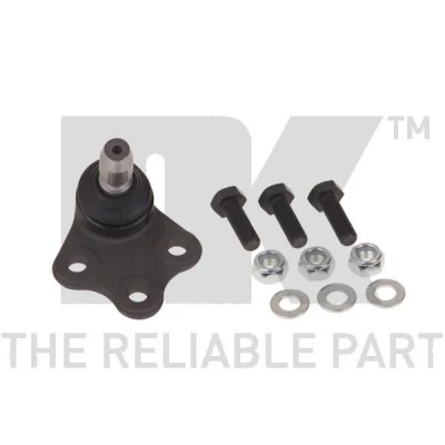 Kuva NK 5045007 Alapallonivel