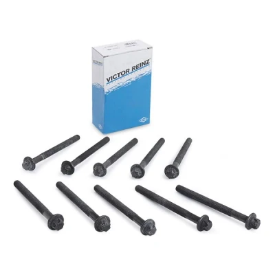 Kuva REINZ 14 32231 01 Kannen Pultit Torx, ulko RENAULT: TRAFIC 2 Bus, 2, MEGANE 3 Grandtour, OPEL: Vivaro A Combi, Movano Bussi