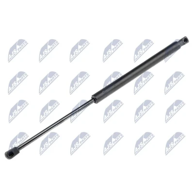 Kuva NTY AE PL 031 Takaluukun Kaasujousi 610 505