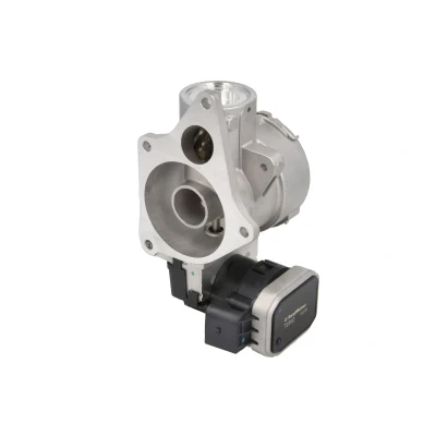 Kuva EGR venttiili WAHLER 7256D
