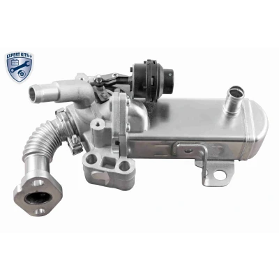 Kuva ACKOJA A38 63 0004 EGR Venttiili Sähköinen Pakokaasukierrätys jäähdyttimellä Ohjain/ohjelma tulee &quot;kouluttaa&quot;/päivittää NISSAN: NP300 Navara Pick up