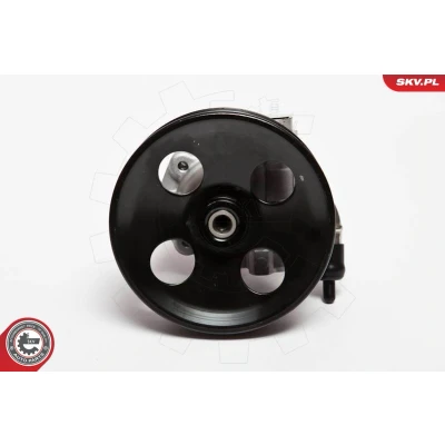 Kuva Hydrauliikkapumppu, ohjaus FORD FIESTA V, Van FUSION, MAZDA 2 OE 1325147, 1416165, 1755033