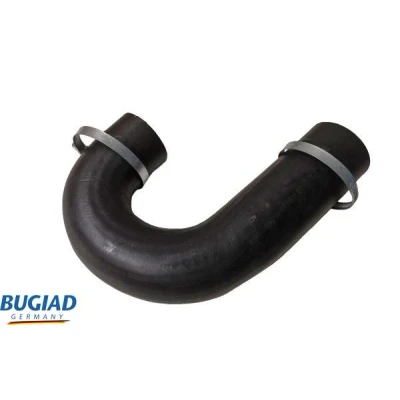 Kuva BUGIAD 82463 Ahdinletku Kuorilla