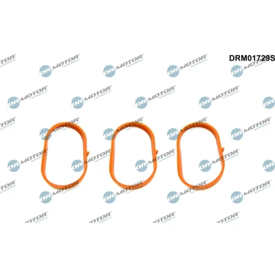 Kuva DR.MOTOR AUTOMOTIVE DRM01729S Tiivistesarja, Imusarja Alla
