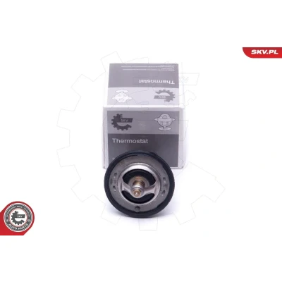 Kuva Termostaatti, jäähdytysneste FORD, FORD USA, MAZDA, SUZUKI OE 17670 77E10, 77E11, 1A51 15 171
