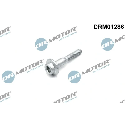 Kuva DR.MOTOR AUTOMOTIVE DRM01286 Ruuvi Ruiskutussuutinpidike VOLKSWAGEN: Polo V Hatchback, AUDI: A1 Hatchback
