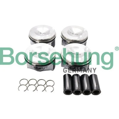 Kuva Borsehung B13574 Männänrenkaat AUDI: A4 B8 Avant, A6 C7 Sedan, Q5, SKODA: Superb III Farmari