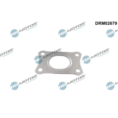 Kuva DR.MOTOR AUTOMOTIVE DRM02679 Tiiviste, Turboahdin