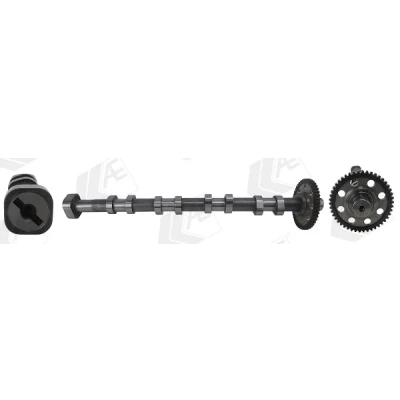 Kuva AE CAM1040 Nokka Akseli Poistopuoli VOLKSWAGEN: Passat B6 Sedan, CC, B7 Variant, SKODA: Octavia 2 Combi, II Hatchback