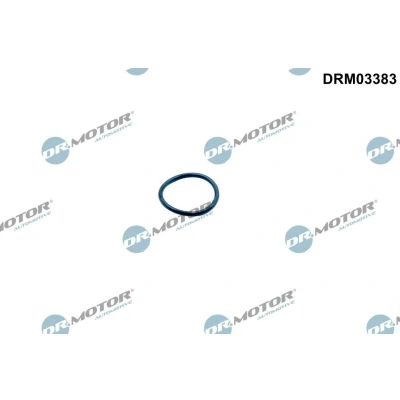 Kuva DR.MOTOR AUTOMOTIVE DRM03383 Tiivisterengas, jakoketjunkiristin