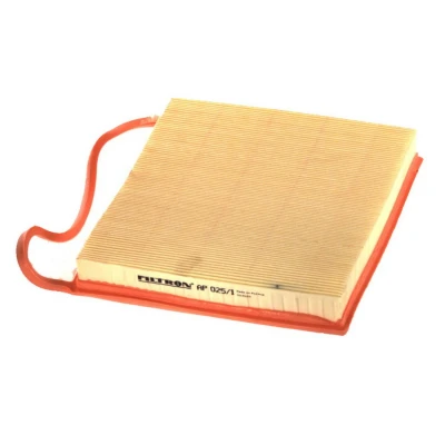 Kuva FILTRON AP 025/1 Ilmansuodatin 41 287 356 Suodatinpanos BMW: 3 Touring, Sedan, Coupe