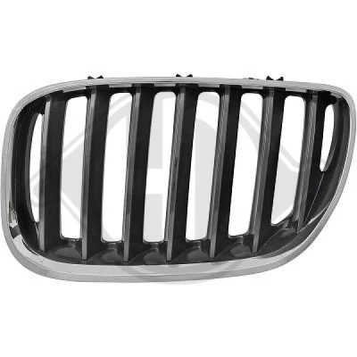 Kuva DIEDERICHS 1290043 Etusäleikkö Vasen Kromi, Musta BMW: X5