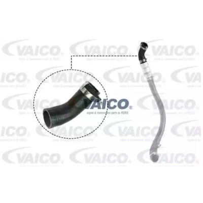Kuva VAICO V25 1037 Ahdinletku Kumi kudosvahvikkeella Q+, original equipment manufacturer quality FORD: Transit Mk6 Bussi, Van