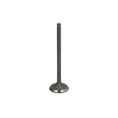 Kuva IPSA VL205100 Pakoventtiili 25
