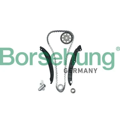 Kuva Borsehung B18824 Jakoketjusarja VOLKSWAGEN: Golf 5, Beetle Hatchback, Passat B6 Variant, SKODA: Octavia II 2 Combi, Fabia