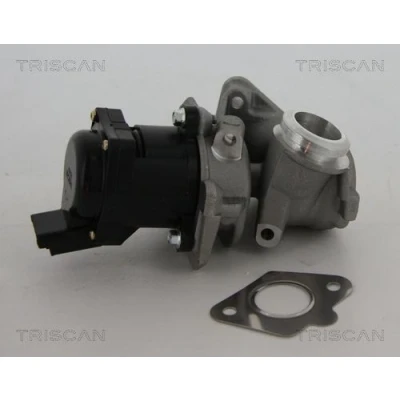 Kuva TRISCAN 8813 10010 EGR Venttiili Sähköinen Tiivisteillä VOLVO: V70 3, V50, S80 II, FORD: Focus 2 Kombi, FIESTA 6 Van, 2, CITROËN: Jumpy II MPV