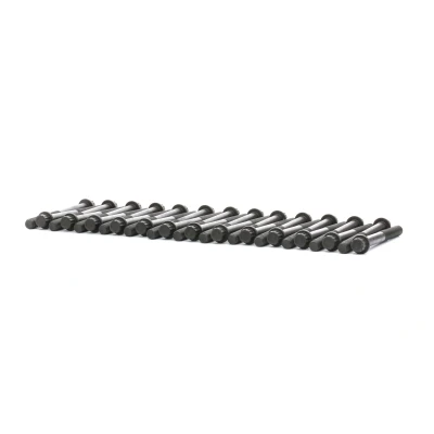 Kuva Sylinterikannen pulttisarja TOYOTA LAND CRUISER 100, 80 OE 90910 02096(x6), 02119(x20)