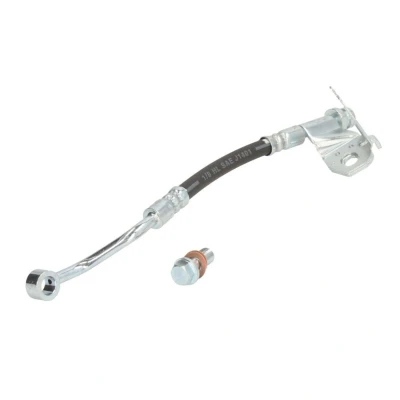 Kuva DELPHI LH7541 Jarruletku 267 Banjo