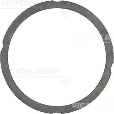 Kuva REINZ 61 25475 70 Kannentiiviste 1,4 102,6