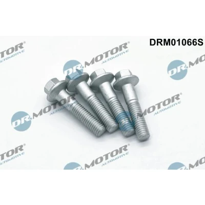 Kuva DR.MOTOR AUTOMOTIVE DRM01066S Ruuvi Ruiskutussuutinpidike FORD: S Max Mk1