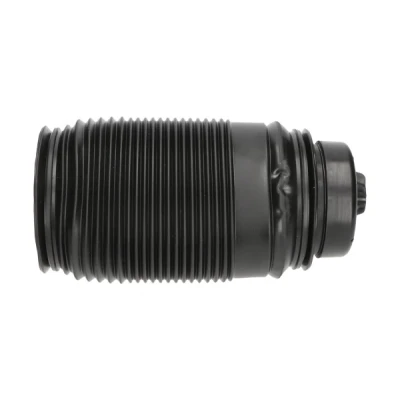 Kuva Ilmajousi, jousitus KAVO PARTS SAS 10014