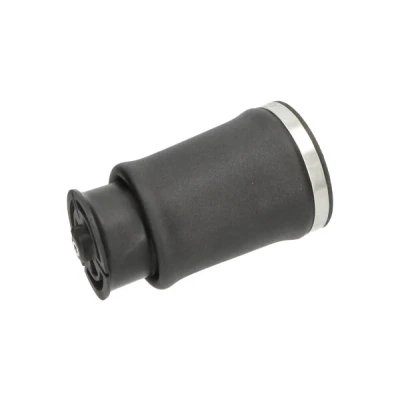 Kuva KAVO PARTS SAS 10017 Ilmajousi, Jousitus Taka akseli, vasen BMW: 5 Touring
