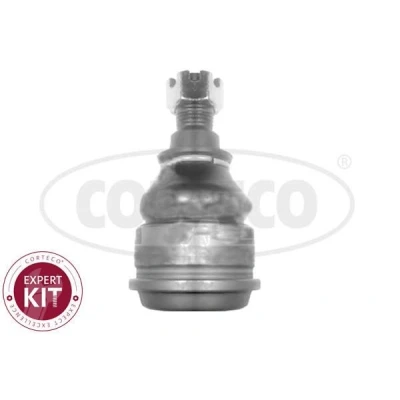 Kuva CORTECO 49399503 Alapallonivel Etuakseli, ala, oikea, vasen HONDA: CIVIC 7 Hatchback