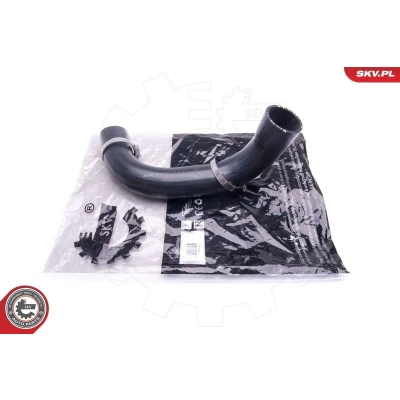 Kuva Ahdinletku RENAULT ESPACE III, IV, LAGUNA II, VEL SATIS OE 8200272949