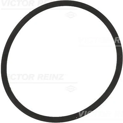 Kuva REINZ 71 34204 00 Imusarjan Tiivisteet VOLKSWAGEN: Golf 4, 4 Variant, 5, SKODA: Octavia 2 Combi, II Hatchback, 1 Combi
