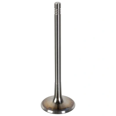 Kuva FEBI BILSTEIN 181076 Imuventtiili 33,8 VOLKSWAGEN: Golf 5, Jetta 3, Touran I, AUDI: A3 Hatchback, A4 B6 Sedan, SKODA: Octavia II Hatchback
