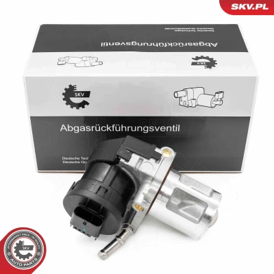 Kuva EGR venttiili ESEN SKV 14SKV261