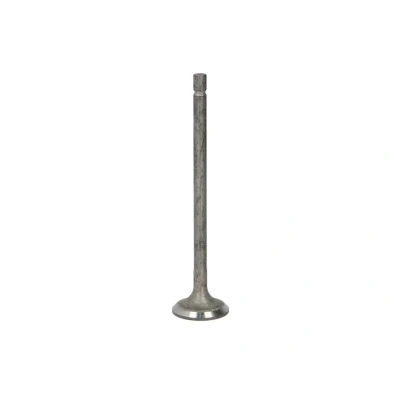 Kuva FRECCIA R6573/RNT Pakoventtiili 24,1 Venttiilivarsi nitrattu KIA: RIO 3