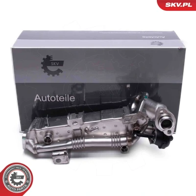 Kuva ESEN SKV 14SKV239 EGR Venttiili BMW: 3 Touring, 7, 4 Gran Coupe