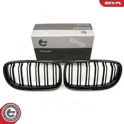 Kuva ESEN SKV 66SKV099 Etusäleikkö Kiiltävä, Musta BMW: 3 Coupe