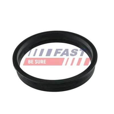 Kuva FAST FT48505 Tiiviste, Tankin Anturi FORD: MONDEO 3 Stufenheck